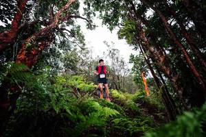 BIB: 
                            <button type="button" onclick="openModal(26202750)" class="btn btn-primary btn-sm float-right btn-popup" data-toggle="modal" data-target=".modal-high-quality">
                        <i class="fas fa-shopping-cart"></i> Add to Cart
                    </button>
                                            <button type="button" onclick="isThisMe(26202750, true)" class="btn btn-success btn-sm float-right btn-popup btn-isme hidden" data-toggle="tooltip" data-placement="bottom" title="นี่คือรูปของคุณใช่ไหม คลิกที่นี่เพื่อเอาเข้าอัลบั้ม">
                        <i class="fas fa-plus"></i> Add to album
                    </button>
                    <button type="button" onclick="isThisMe(26202750, false)" class="btn btn-warning btn-sm float-right btn-popup btn-isnotme hidden">
                        <i class="fas fa-ban"></i> Remove from album
                    </button>